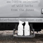 Cadzand_Hierbas Las Dunas_2016_4