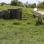 Knokke_Atlantikwall_2012_ 5