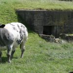 Knokke_Atlantikwall_2012_ 6