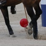 beach_polo_29