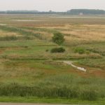 Neue Natur Waterdunen