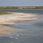 breskens_waterdunen_laatzeelandzien_2017_1