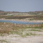 Waterdunen