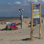 cadzand_caricole_2018_5