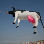 cadzand_drachenfliegerfest_35