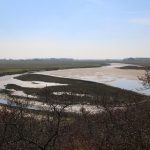 het_zwin_137