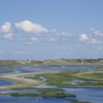 het_zwin_52