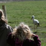 het_zwin_60