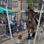 ijzendijke_ringeiten_2011_25