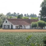 knokke_hazegras_21