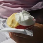 knokke_hazegras_6