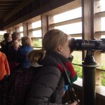 Aussicht auf Fauna und Flora im „Het Zwin“