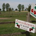 knokke_zoute_polder_1
