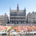 Brüssel_Flower Carpet_mastershoot-8-fb-mo