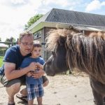 nieuwvliet_camping_international_streichelzoo_1