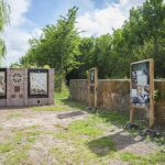 nieuwvliet_camping_international_streichelzoo_3
