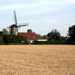nieuwvliet_mühle_1
