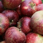 äpfel_9