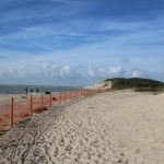 het_zwin_2016_umbau_7