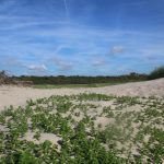 hez_zwin_2016_1