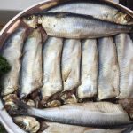 gastro_fisch_mattjes_mk_1