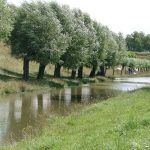 retranchement_wallenroute_30