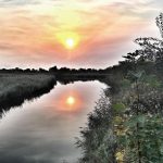 nieuwvliet_natur_2018