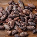 schokolade_cacao-bean-pixabay_2522918_1920