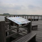cadzand_zwin_2019_7