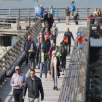 cadzand_zwin_radweg_2019_2