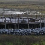 cadzand_zwin_winter_2018_2019_13