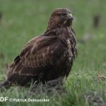 natur_wanderungen_demaecker_9