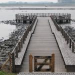 zwin_plattform_2019_8