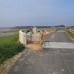 zwin_radweg_2019_14