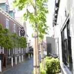 groede_denattepij_8