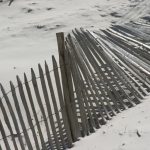 cadzand_dünen_12