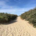 cadzand_dünen_63