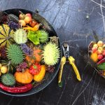 Dekorative Herbstschale