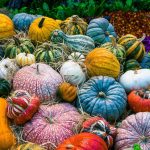 pumpkin-pixabay_2190584_1920