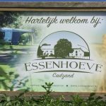 cadzand_camping_essenhoeve_2