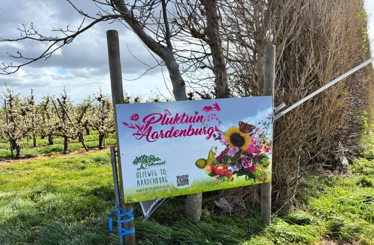 Aardenburg: Blumen- und Obsthof "Pluktuin Aardenburg"