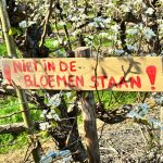 Aardenburg_Pluktuin_2026_43