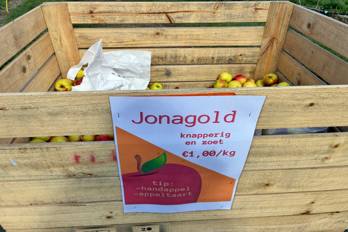 Pluktuin Aardenburg: Selbst Obstpflücken und Blumenschneiden