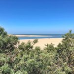 cadzand_dünen_zwin_2021_1