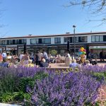 cadzand_duinplein_2022_5