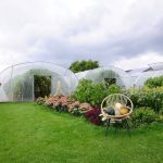 Ijzendijke_charlottes pompoenen_Gewächshäuser