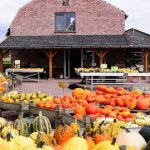 Ijzendijke_charlottes pompoenen_Hofhaus