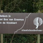 Nieuwvliet_De Knokkert_2014_1
