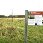 Nieuwvliet_De Knokkert_2014_2