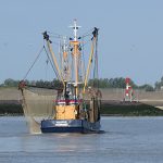 breskens_festijn-rondvaartenslider-5